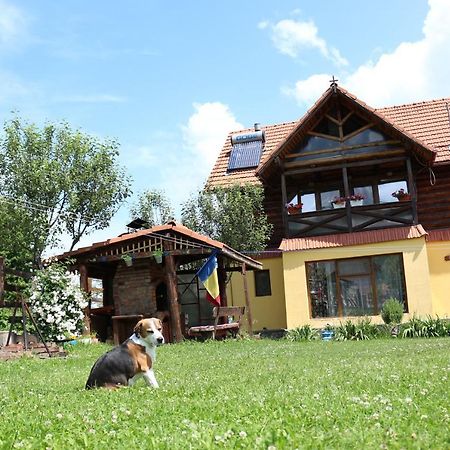 Cabana Ollie Retezat Riu Barbat Εξωτερικό φωτογραφία