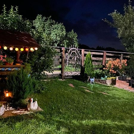 Cabana Ollie Retezat Riu Barbat Εξωτερικό φωτογραφία