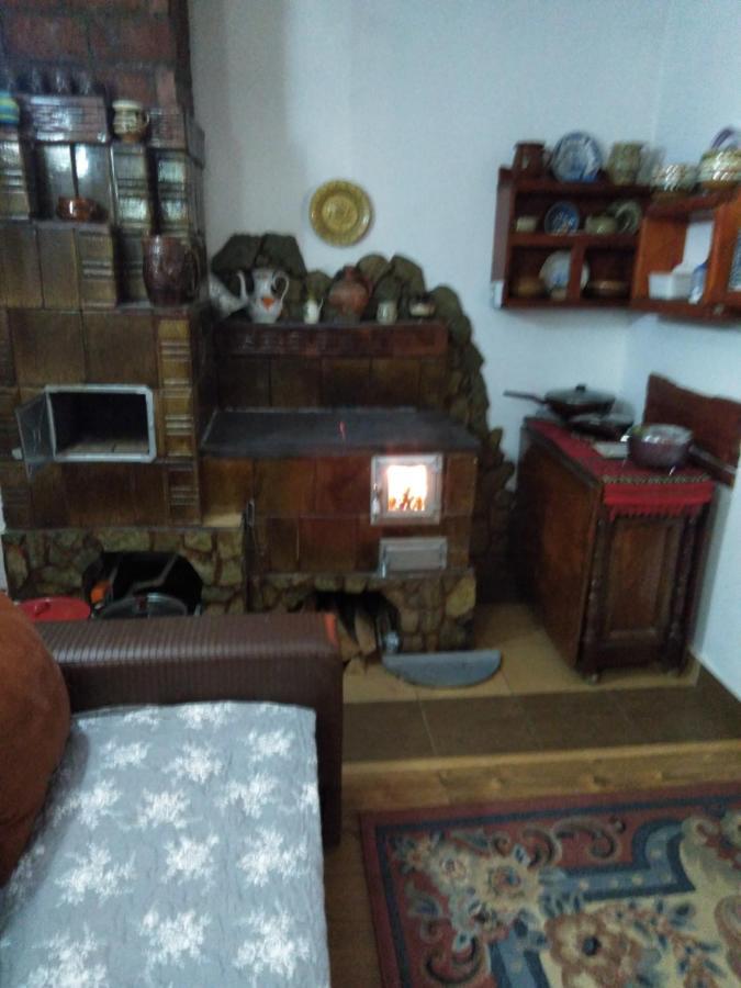 Cabana Ollie Retezat Riu Barbat Εξωτερικό φωτογραφία