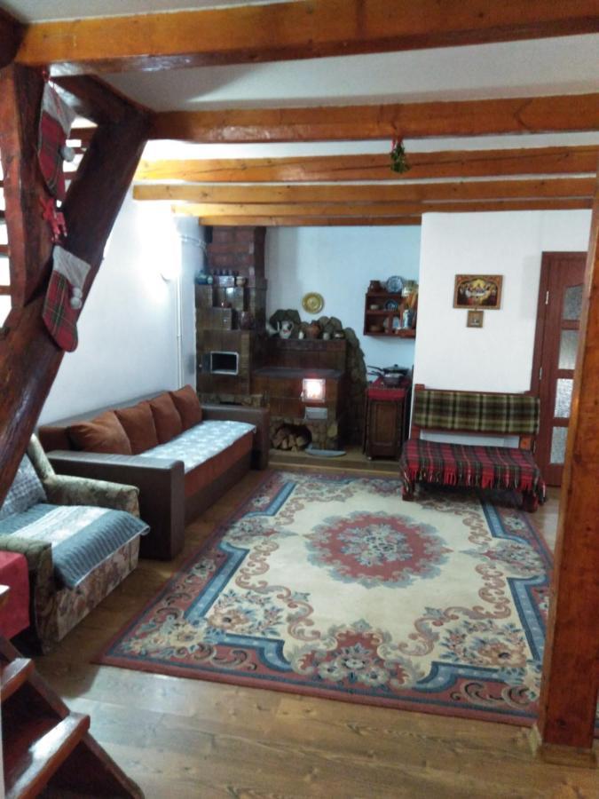Cabana Ollie Retezat Riu Barbat Εξωτερικό φωτογραφία