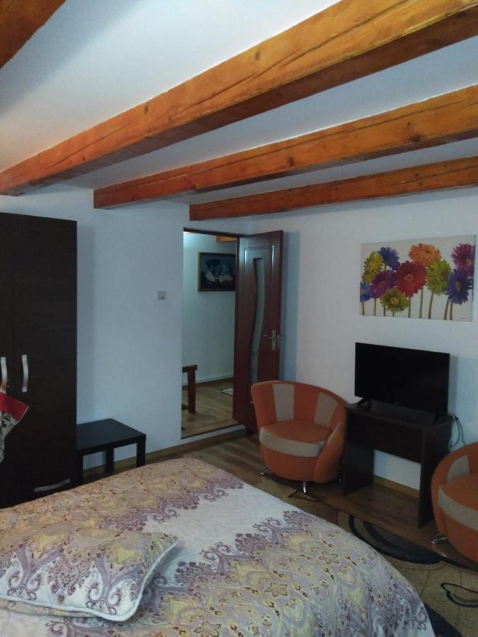 Cabana Ollie Retezat Riu Barbat Εξωτερικό φωτογραφία