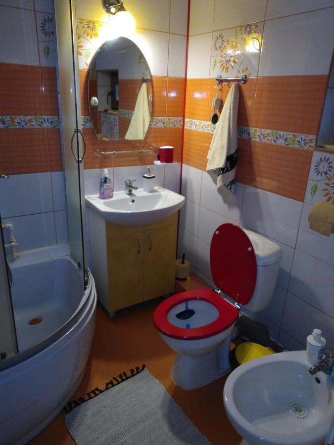 Cabana Ollie Retezat Riu Barbat Εξωτερικό φωτογραφία