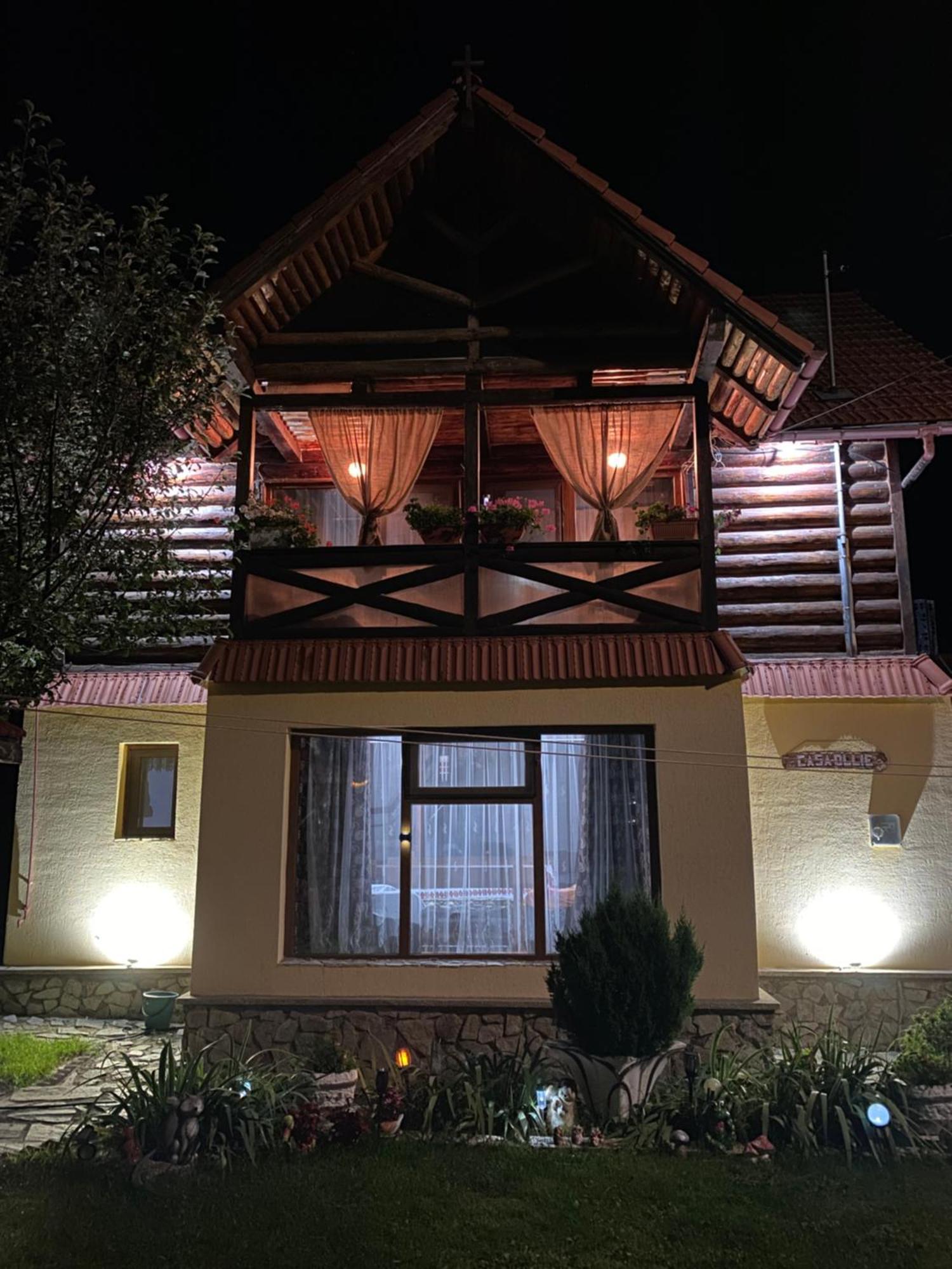 Cabana Ollie Retezat Riu Barbat Εξωτερικό φωτογραφία