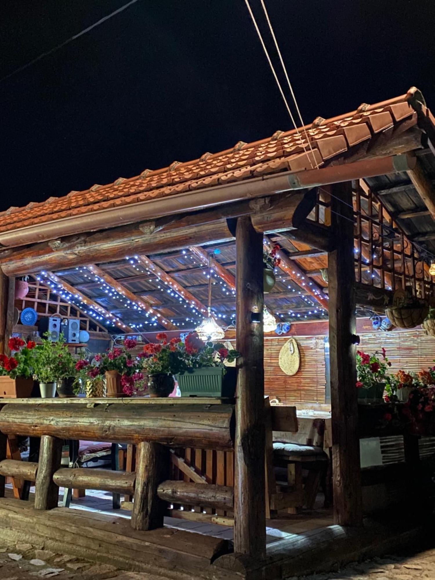 Cabana Ollie Retezat Riu Barbat Εξωτερικό φωτογραφία