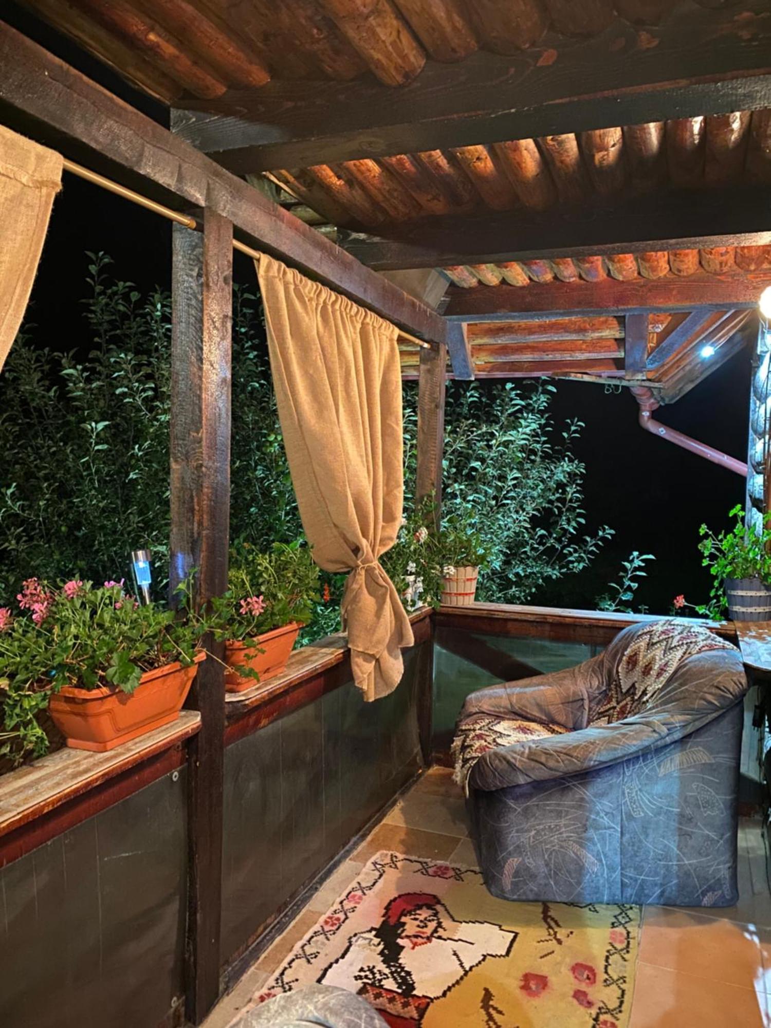 Cabana Ollie Retezat Riu Barbat Εξωτερικό φωτογραφία