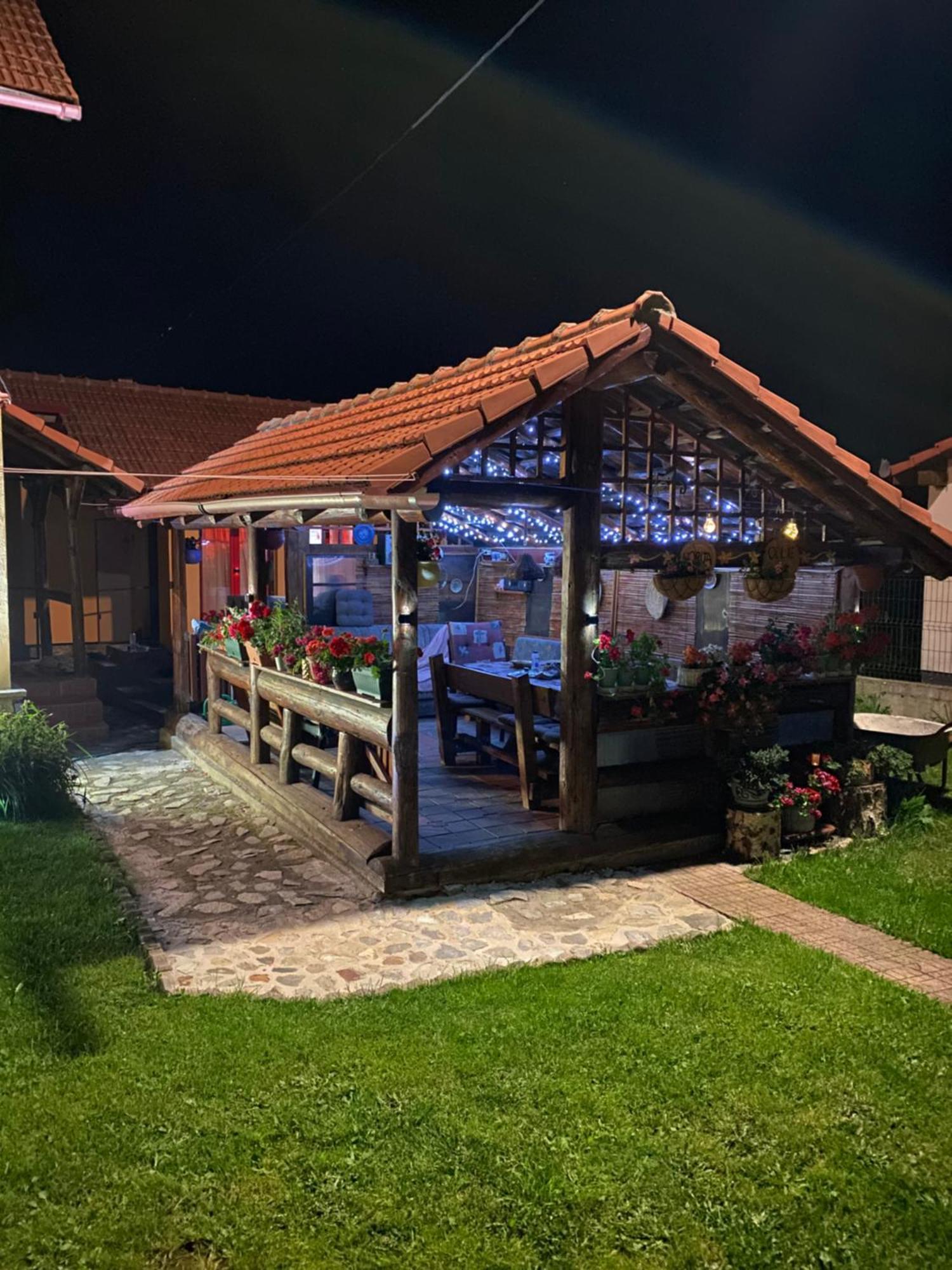 Cabana Ollie Retezat Riu Barbat Εξωτερικό φωτογραφία