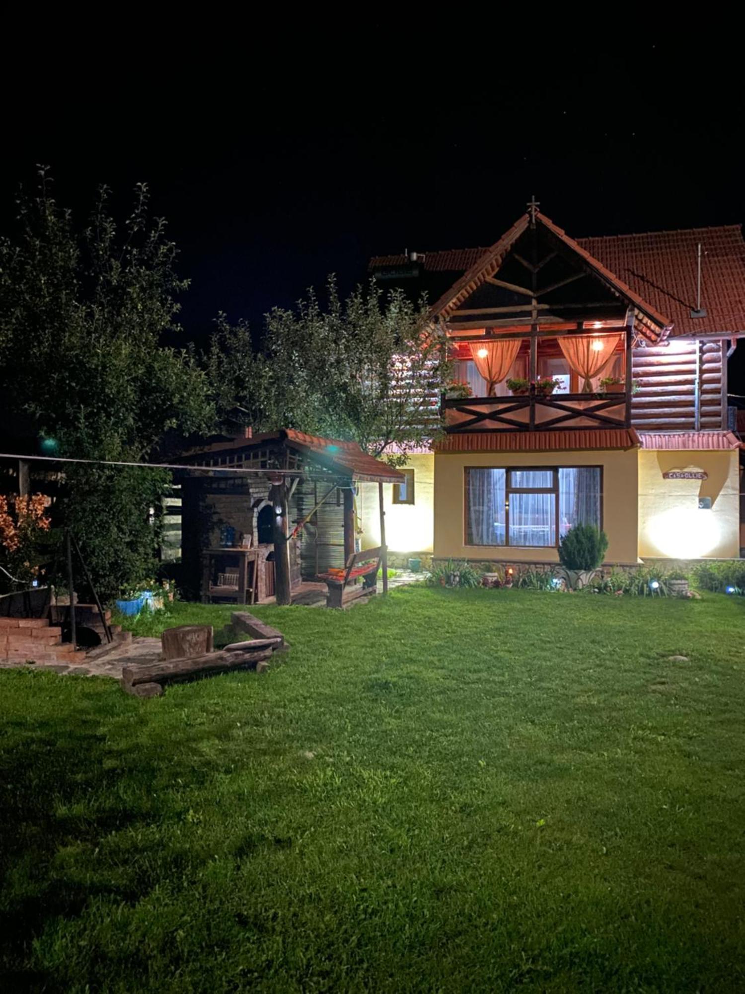 Cabana Ollie Retezat Riu Barbat Εξωτερικό φωτογραφία
