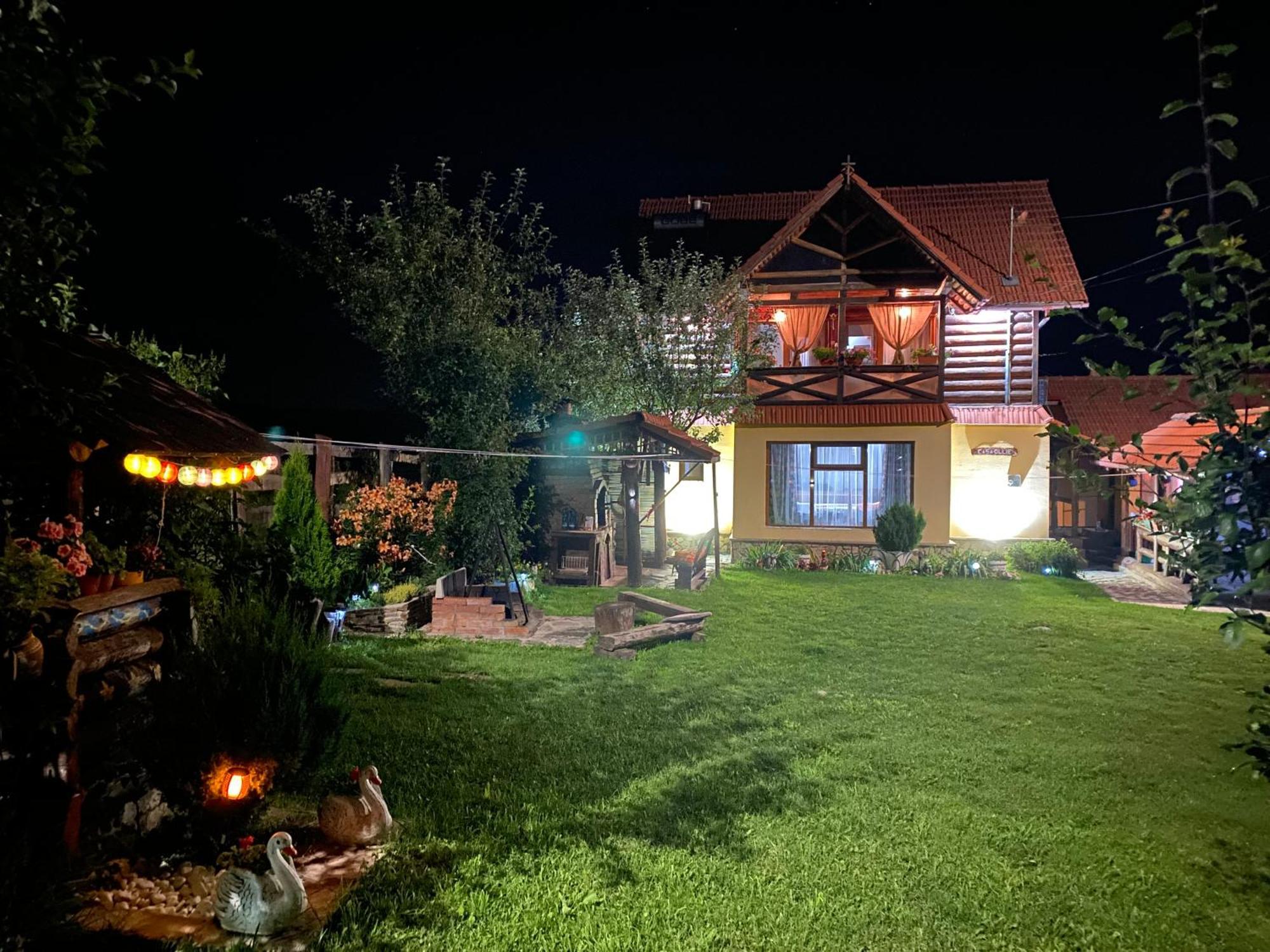 Cabana Ollie Retezat Riu Barbat Εξωτερικό φωτογραφία