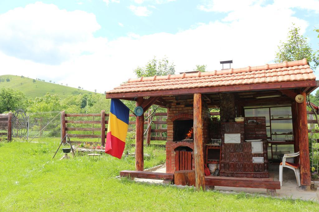 Cabana Ollie Retezat Riu Barbat Εξωτερικό φωτογραφία